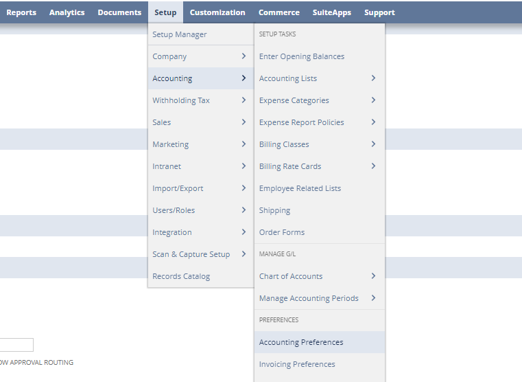 netsuite accounting preferences