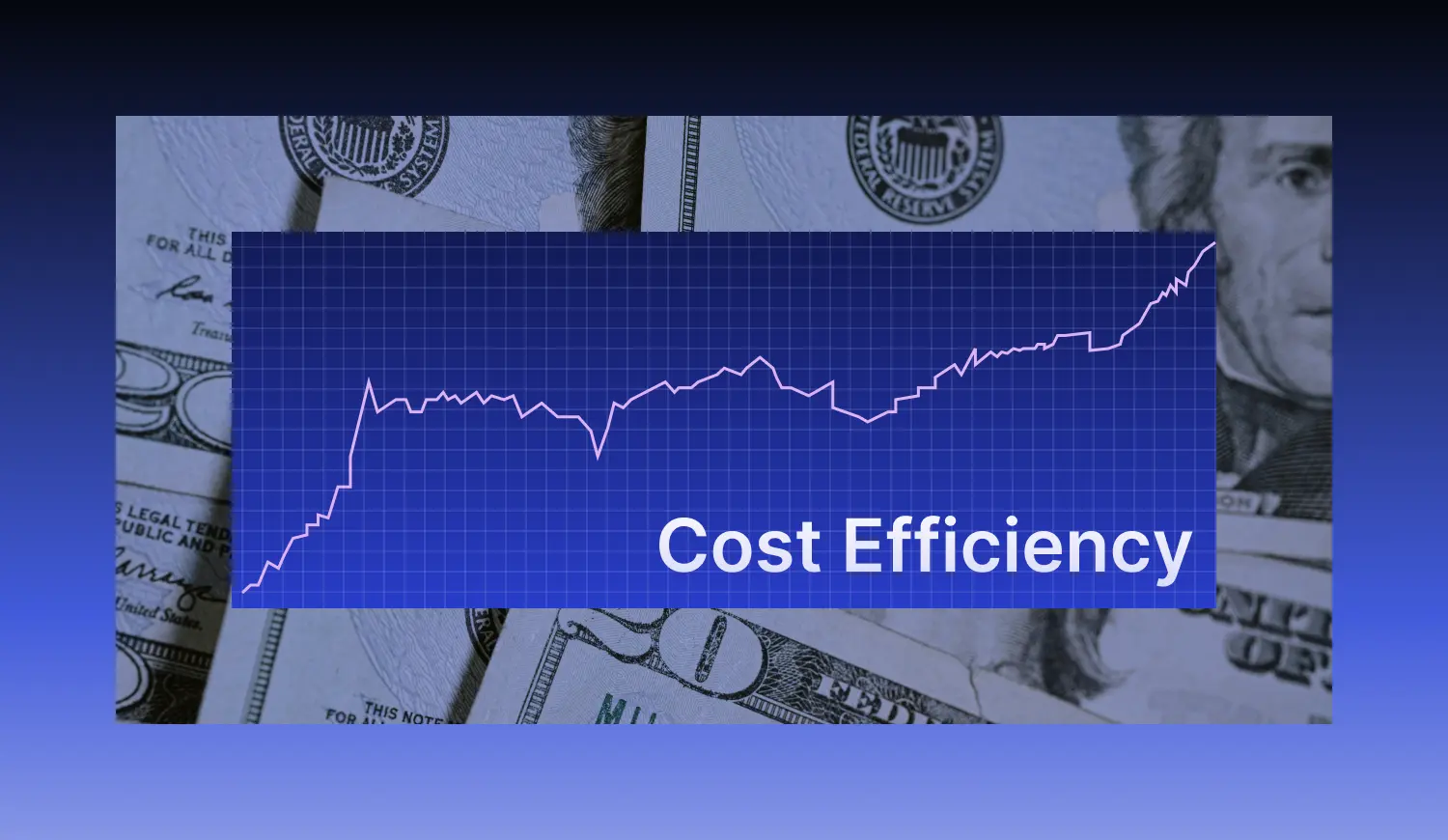 cost efficiency guide