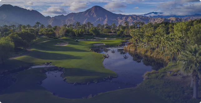 Palm Spring case study